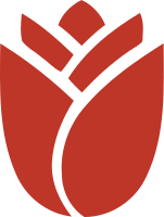 即将开放的花朵