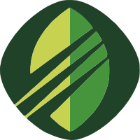 带光影的一个树叶标志